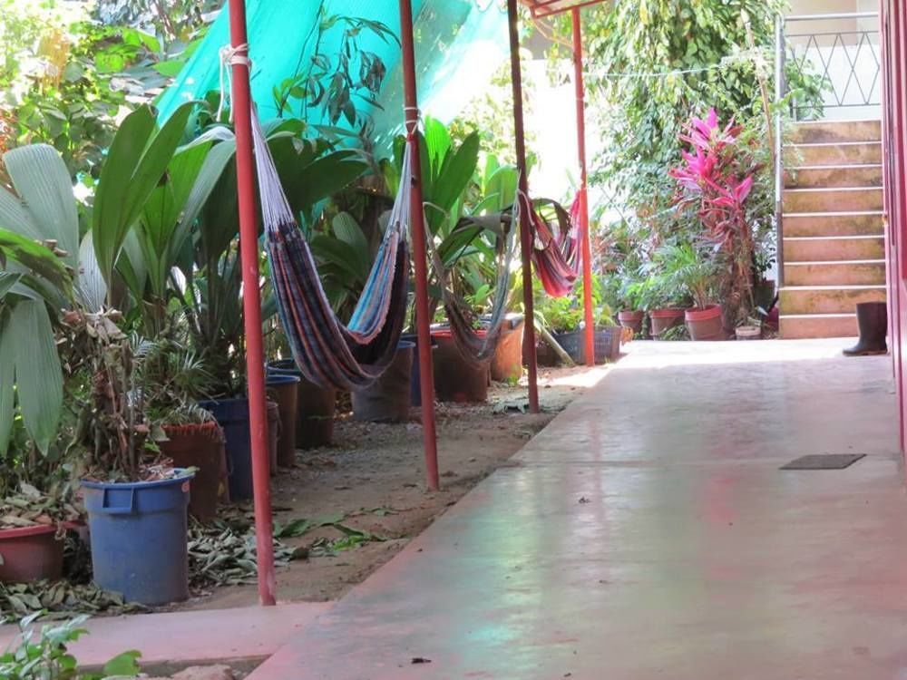 Tambopata Hostel Bambu Пуерто-Мальдонадо Екстер'єр фото
