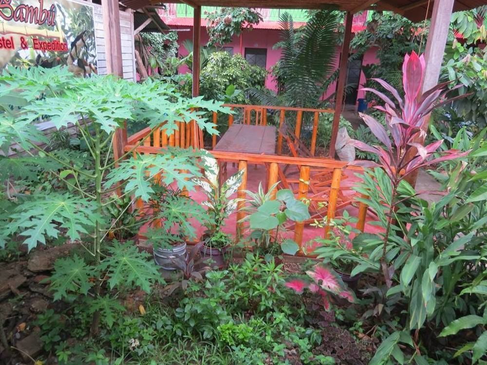 Tambopata Hostel Bambu Пуерто-Мальдонадо Екстер'єр фото