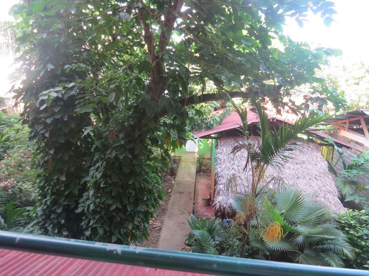 Tambopata Hostel Bambu Пуерто-Мальдонадо Екстер'єр фото