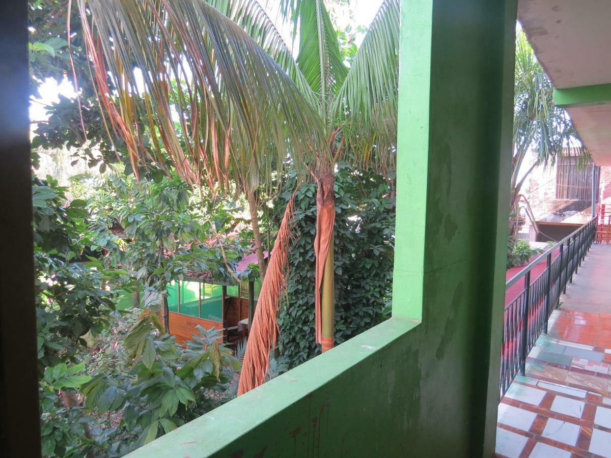 Tambopata Hostel Bambu Пуерто-Мальдонадо Екстер'єр фото